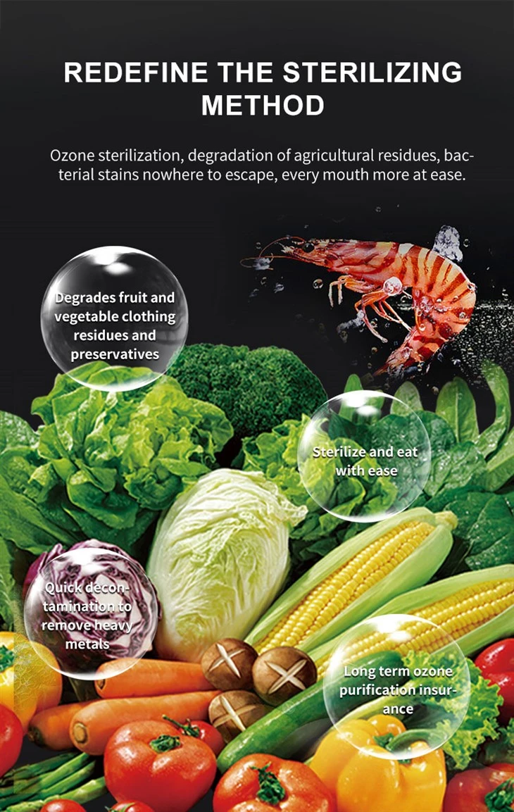 Commercial Veggie Washer